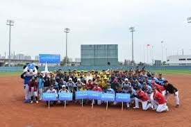 总结：棒球是一场关于精确数据、极致耐心与团队意志的巅峰对决